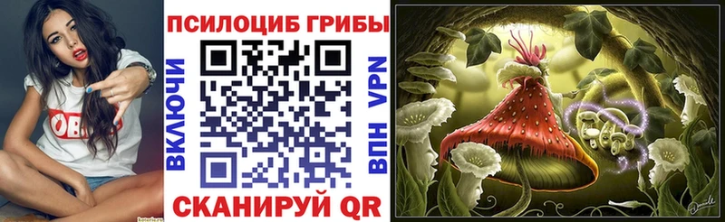 МЕГА маркетплейс  где найти   Сельцо  Галлюциногенные грибы Magic Shrooms 